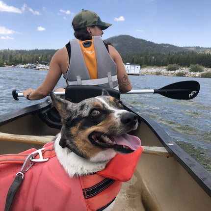 Pontoon, Canoe, Kayak, & Paddleboard Rentals from Captain John’s Fawn Harbor & Marina at Big Bear Lake